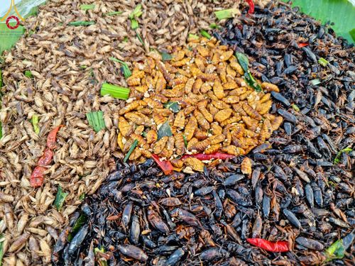 ภาพ No.111055:พิธีถวายภัตตาหารเป็นสังฆทาน แด่คณะพระธรรมยาตราฯ ในโครงการธรรมยาตรา กตัญญูบูชา มหาปูชนียาจารย์ พระมงคลเทพมุนี(สด จนฺทสโร) พระผู้ปราบมาร อนุสรณ์สถาน 7 แห่ง ปีที่ 12 วันที่ 13 มกราคม พ.ศ. 2567 ณ อนุสรณ์สถานมหาวิหารพระมงคลเทพมุนี  (โลตัสแลนด์) อ.สองพี่น้อง จ