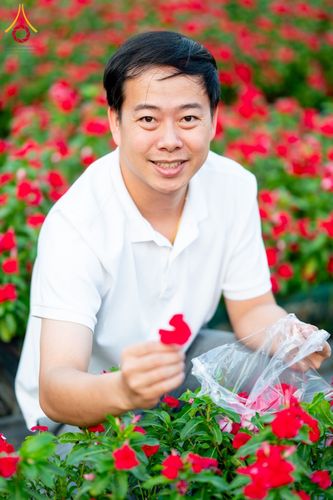 ภาพ No.185516:กิจกรรมเก็บดอกแพงรวย วันอาทิตย์ที่ 22 ธันวาคม พ.ศ. 2567 ณ ทุ่งสวรรค์ ตะวันฉาย วัดพระธรรมกาย