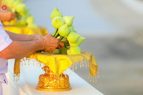 ภาพ No.101472:พิธีเวียนประทักษิณ, พิธีวันทาเจดีย์, พิธีขอขมาและมอบผ้าไตร ในโครงการอุปสมบทหมู่ รุ่นบูชาธรรมมหาปูชนียาจารย์ ณ วัดพระธรรมกาย ในวันที่ 9 ธันวาคม พ.ศ. 2566