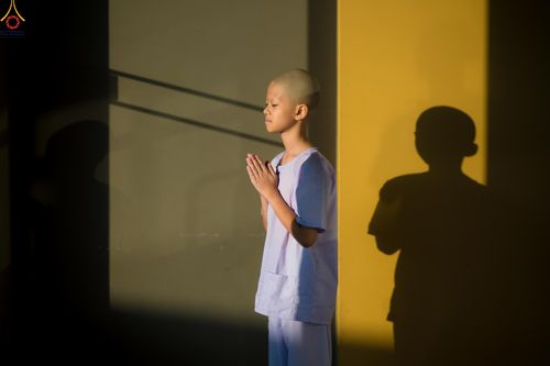 ภาพ No.316918:วันเสาร์ที่ 28 มีนาคม พ.ศ.2569 พิธีปลงผมนาคธรรมทายาท โครงการสามเณรยุวธรรมทายาท รุ่นที่ 34 โครงการสามเณรมัชฌิมธรรมทายาท รุ่นที่ 30 ณ มหารัตนวิหารคด 13 วัดพระธรรมกาย