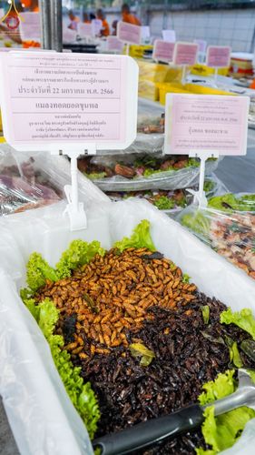 ภาพ No.73782:พิธีถวายภัตตาหารเป็นสังฆทาน แด่คณะพระธรรมยาตราฯ ในโครงการธรรมยาตรากตัญญูบูชา มหาปูชนียาจารย์ พระมงคลเทพมุนี(สด จนฺทสโร) พระผู้ปราบมาร อนุสรณ์สถาน 7 แห่ง ปีที่ 11 วันที่ 22 มกราคม พ.ศ. 2566