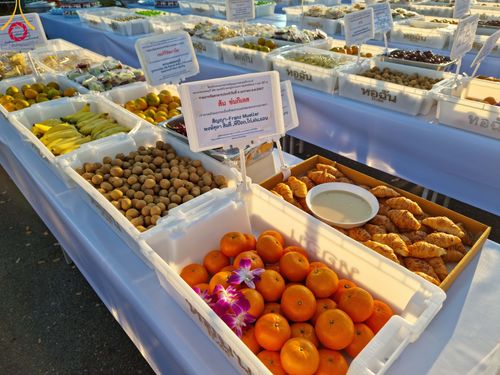 ภาพ No.106099:พิธีถวายภัตตาหารเป็นสังฆทาน แด่คณะพระธรรมยาตราฯ ในโครงการธรรมยาตรากตัญญูบูชา มหาปูชนียาจารย์ พระมงคลเทพมุนี(สด จนฺทสโร) พระผู้ปราบมาร อนุสรณ์สถาน 7 แห่ง ปีที่ 12 วันที่ 3 มกราคม พ.ศ. 2567 ณ อนุสรณ์สถานโลตัสแลนด์ จ.สุพรรณบุรี