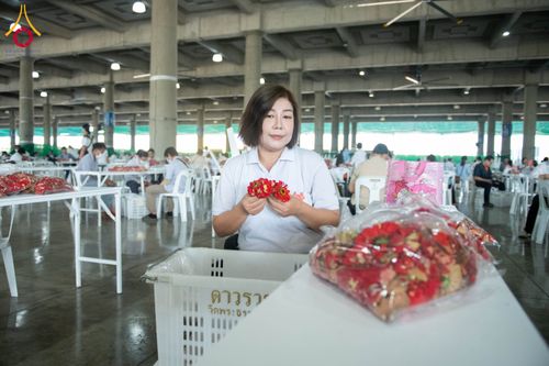 ภาพ No.279445:วันที่ 19-26 ธันวาคม พ.ศ. 2568 และ วันที่ 1 มกราคม พ.ศ.2569 รับบุญปลิดกลีบดอกไม้ เพื่อโปรยต้อนรับพระธรรมยาตรา