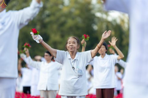 ภาพ No.280970:วันที่ 28 ธันวาคม พ.ศ.2568 กิจกรรมเก็บดอกแพงรวย ณ ทุ่งสวรรค์ตะวันฉาย วัดพระธรรมกาย