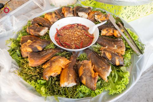 ภาพ No.296761:วันที่ 18 มกราคม พ.ศ. 2569 พิธีถวายภัตตาหารเป็นสังฆทาน แด่พระธรรมยาตรา ณ วัดโบสถ์บน ต.บางคูเวียง จ.นนทบุรี อนุสรณ์สถานลำดับที่ 4 สถานที่เกิดด้วยกายธรรม ในโครงการธรรมยาตรา กตัญญูบูชา มหาปูชนียาจารย์ พระมงคลเทพมุนี(สด จนฺทสโร) พระผู้ปราบมาร อนุสรณ์สถาน 7 แ