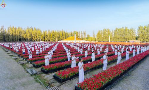 ภาพ No.280923:วันที่ 28 ธันวาคม พ.ศ.2568 กิจกรรมเก็บดอกแพงรวย ณ ทุ่งสวรรค์ตะวันฉาย วัดพระธรรมกาย