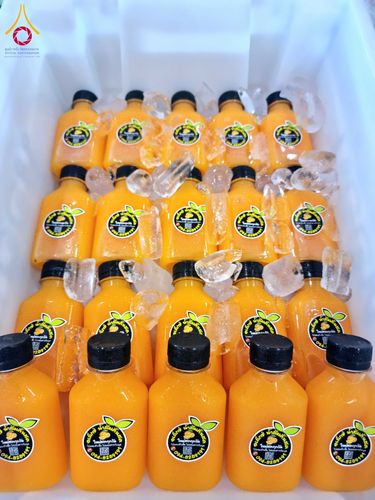 ภาพ No.204430:พิธีถวายภัตตาหารเป็นสังฆทาน แด่พระธรรมยาตรา ณ วัดพระธรรมกาย ตำบลคลองสาม อำเภอคลองหลวง จังหวัดปทุมธานี ในโครงการธรรมยาตรา กตัญญูบูชา มหาปูชนียาจารย์ พระมงคลเทพมุนี(สด จนฺทสโร) พระผู้ปราบมาร อนุสรณ์สถาน 7 แห่ง ปีที่ 13 วันที่ 31 มกราคม พ.ศ. 2568