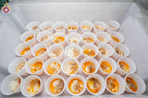 ภาพ No.300298:วันที่ 22 มกราคม พ.ศ. 2569 พิธีถวายภัตตาหารเป็นสังฆทาน แด่พระธรรมยาตรา ณ อนุสรณ์สถานบางปลา วัดบางปลา อำเภอบางเลน จังหวัดนครปฐม ในโครงการธรรมยาตรา กตัญญูบูชา มหาปูชนียาจารย์ พระมงคลเทพมุนี(สด จนฺทสโร) พระผู้ปราบมาร อนุสรณ์สถาน 7 แห่ง ปีที่ 14