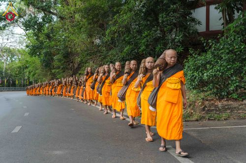ภาพ No.329132:วันเสาร์ที่ 16 พฤษภาคม พ.ศ.2569 ธรรมยาตรา เดินดูดวงขึ้นดอยฉลองแชมป์บาลี วัดบ้านขุน อำเภอฮอด จังหวัดเชียงใหม่