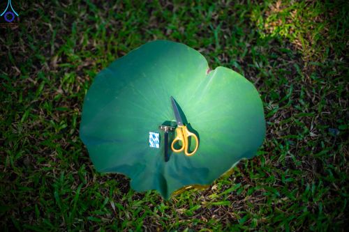 ภาพ No.83205:พิธีตัดปอยผมและปลงผม ในโครงการบรรพชาอุปสมบทหมู่ ธรรมทายาทนานาชาติ (ภาคภาษาจีน) รุ่นที่ 18 ณ วัดพระธรรมกาย วันเสาร์ที่ 8 กรกฎาคม พ.ศ.2566