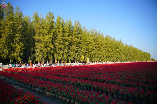 ภาพ No.287167:วันที่ 2 มกราคม พ.ศ.2569 พิธีต้อนรับพระธรรมยาตรา ครั้งที่ 1 (ภาพชุดที่ 2) ณ วัดพระธรรมกาย (วิหารหลวงปู่ - พระมหาธรรมกายเจดีย์)