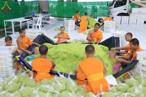 ภาพ No.303250:วันที่ 15-21 มกราคม พ.ศ.2569 ปลิดกลีบดอกเบญจทรัพย์ เพื่อโปรยต้อนรับพระธรรมยาตรา ในโครงการธรรมยาตรา กตัญญูบูชา มหาปูชนียาจารย์ พระมงคลเทพมุนี(สด จนฺทสโร) พระผู้ปราบมาร อนุสรณ์สถาน 7 แห่ง ปีที่ 14 ณ วิหารคด วัดพระธรรมกาย