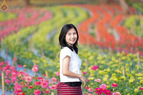 ภาพ No.104295:บรรยากาศ ทุ่งดอกทรัพย์บานชื่น ณ สวนพนาวัฒน์ อ.ฮอด จ.เชียงใหม่ ช่วงระหว่างวันที่ 20 - 25 ธันวาคม พ.ศ. 2566