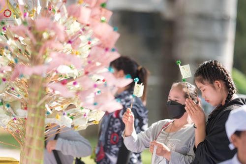 ภาพ No.91619:พิธีทอดผ้าป่า สร้างลานเอนกประสงค์พญานาค 4 ตระกูล จุดประทีปโคมลาน ถวายเป็นพุทธบูชา  สร้างความสว่างไสวให้กับแผ่นดินด้วยแสงธรรม วันอาทิตย์ที่ 29 ตุลาคม พ.ศ. 2566 ณ พุทธอุทยานนานาชาติ จังหวัดหนองคาย