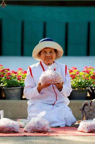 ภาพ No.295981:ภาพเบื้องหลังอาสาสมัครรวมใจ ชุดที่ 1 ในโครงการธรรมยาตรา กตัญญูบูชา มหาปูชนียาจารย์ พระมงคลเทพมุนี(สด จนฺทสโร) พระผู้ปราบมาร อนุสรณ์สถาน 7 แห่ง ปีที่ 14