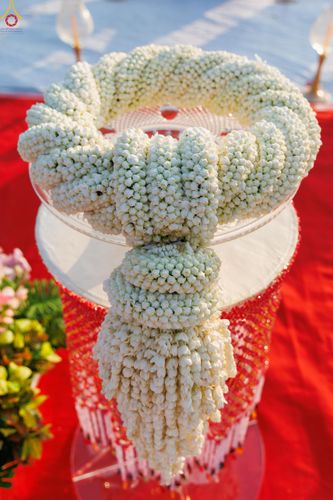 ภาพ No.293982:วันที่ 14 มกราคม พ.ศ. 2569 พิธีจุดประทีปถวายเป็นพุทธบูชา และบูชาธรรมมหาปูชนียาจารย์  ณ วัดสองพี่น้อง ต.ต้นตาล อ.สองพี่น้อง จ.สุพรรณบุรี ในโครงการธรรมยาตรา กตัญญูบูชา มหาปูชนียาจารย์ พระมงคลเทพมุนี(สด จนฺทสโร) พระผู้ปราบมาร อนุสรณ์สถาน 7 แห่ง ปีที่ 14