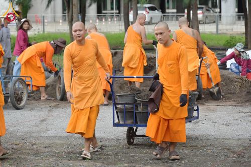 ภาพ No.346848:วันอาทิตย์ที่ 30 สิงหาคม พ.ศ.2569 การปักชำต้นกล้าเบญจทรัพย์ เพื่อเตรียมดอกไม้บูชาธรรม พระเดชพระคุณหลวงปู่ และโปรยต้อนรับพระธรรมยาตรา ปีที่ 15 ณ แปลงปลูก B ปทุมเจดีย์ วัดพระธรรมกาย