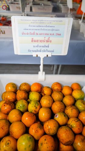 ภาพ No.74446:พิธีถวายภัตตาหารเป็นสังฆทาน แด่คณะพระธรรมยาตราฯ ในโครงการธรรมยาตรากตัญญูบูชา มหาปูชนียาจารย์ พระมงคลเทพมุนี(สด จนฺทสโร) พระผู้ปราบมาร อนุสรณ์สถาน 7 แห่ง ปีที่ 11 วันที่ 26 มกราคม พ.ศ. 2566