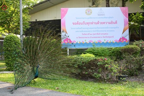 ภาพ No.77342:โครงการเสริมสร้างมาตรฐานคุณธรรมจริยธรรมของพนักงาน และลูกจ้างเทศบาลเมืองคลองหลวง ประจำปีงบประมาณ พ.ศ.๒๕๖๖  วันอังคารที่ ๒๘ กุมภาพันธ์ พ.ศ.๒๕๖๖  ณ วัดพระธรรมกาย อ.คลองหลวง จ.ปทุมธานี