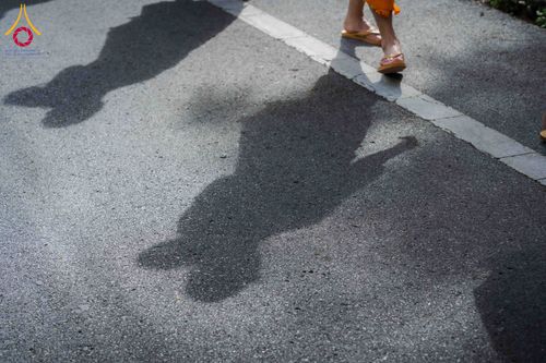 ภาพ No.329145:วันเสาร์ที่ 16 พฤษภาคม พ.ศ.2569 ธรรมยาตรา เดินดูดวงขึ้นดอยฉลองแชมป์บาลี วัดบ้านขุน อำเภอฮอด จังหวัดเชียงใหม่