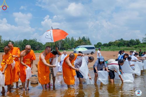 ภาพ No.161199:พิธีถวายมหาสังฆทาน 31 วัด , พิธีบุพเปตพลี , พิธีไถ่ชีวิตโค และ ปล่อยพันธ์ุปลาจำนวน 50,000 ชีวิต ณ ศูนย์การศึกษาจอมบึง ต.รางบัว อ.จอมบึง จ.ราชบุรี วันที่ 28 กันยายน พ.ศ. 2567