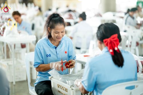 ภาพ No.279466:วันที่ 19-26 ธันวาคม พ.ศ. 2568 และ วันที่ 1 มกราคม พ.ศ.2569 รับบุญปลิดกลีบดอกไม้ เพื่อโปรยต้อนรับพระธรรมยาตรา