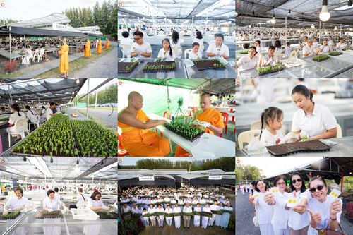 วันที่ 16 สิงหาคม พ.ศ.2569 การปักชำต้นกล้าเบญจทรัพย์ เพื่อเตรียมดอกไม้บูชาธรรม พระเดชพระคุณหลวงปู่ และโปรยต้อนรับพระธรรมยาตรา ปีที่ 15 ณ โรงเรือนปักชำประตู 8 วัดพระธรรมกาย
