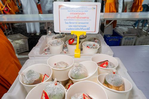 ภาพ No.301835:วันที่ 24 มกราคม พ.ศ. 2569 พิธีถวายภัตตาหารเป็นสังฆทาน แด่พระธรรมยาตรา ณ อนุสรณ์สถานบางปลา วัดบางปลา อำเภอบางเลน จังหวัดนครปฐม ในโครงการธรรมยาตรา กตัญญูบูชา มหาปูชนียาจารย์ พระมงคลเทพมุนี(สด จนฺทสโร) พระผู้ปราบมาร อนุสรณ์สถาน 7 แห่ง ปีที่ 14