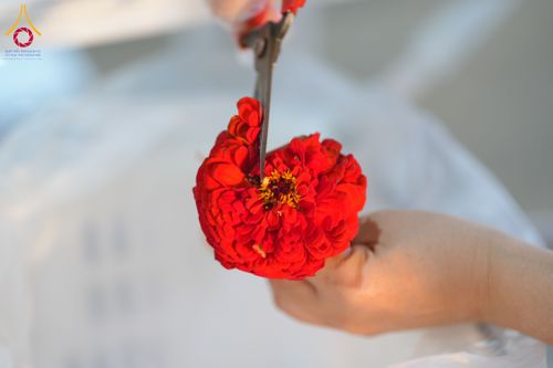 ภาพ No.303329:วันที่ 15-21 มกราคม พ.ศ.2569 ปลิดกลีบดอกเบญจทรัพย์ เพื่อโปรยต้อนรับพระธรรมยาตรา ในโครงการธรรมยาตรา กตัญญูบูชา มหาปูชนียาจารย์ พระมงคลเทพมุนี(สด จนฺทสโร) พระผู้ปราบมาร อนุสรณ์สถาน 7 แห่ง ปีที่ 14 ณ วิหารคด วัดพระธรรมกาย