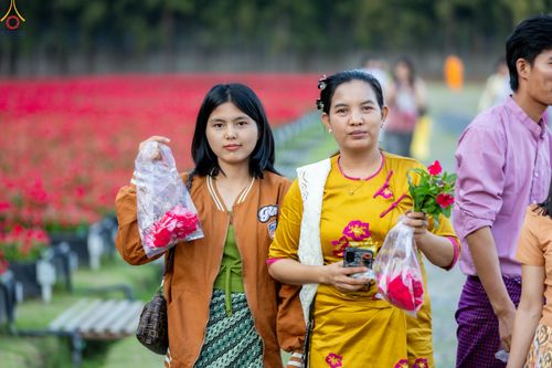 ภาพ No.281032:วันที่ 28 ธันวาคม พ.ศ.2568 กิจกรรมเก็บดอกแพงรวย ณ ทุ่งสวรรค์ตะวันฉาย วัดพระธรรมกาย