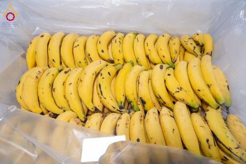 ภาพ No.292651:วันที่ 12 มกราคม พ.ศ. 2569 พิธีถวายภัตตาหารเป็นสังฆทาน แด่พระธรรมยาตรา ณ อนุสรณ์สถานมหาวิหารพระมงคลเทพมุนี (โลตัสแลนด์) อ.สองพี่น้อง จ.สุพรรณบุรี ในโครงการธรรมยาตรา กตัญญูบูชา มหาปูชนียาจารย์ พระมงคลเทพมุนี(สด จนฺทสโร) พระผู้ปราบมาร อนุสรณ์สถาน 7 แห่ง ปี