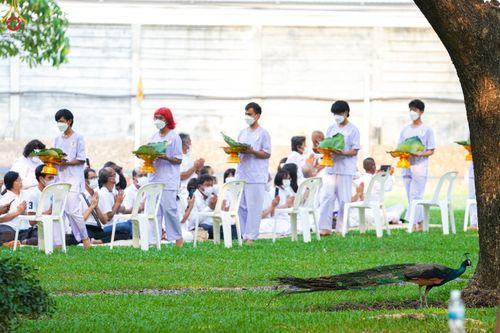 ภาพ No.80050:พิธีตัดปอยผมและปลงผมนาคธรรมทายาท โครงการอุปสมบทหมู่ธรรมทายาท พุทธศาสตร์สากลรุ่นที่ 7 (ภาคฤดูร้อน) วันอาทิตย์ที่ 9 เมษายน พ.ศ.2566