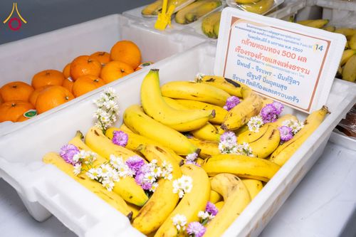 ภาพ No.289908:วันที่ 8 มกราคม พ.ศ. 2569 พิธีถวายภัตตาหารเป็นสังฆทาน แด่พระธรรมยาตรา ณ อนุสรณ์สถานคลองบางนางแท่น อ.สามพราน จ.นครปฐม ในโครงการธรรมยาตรา กตัญญูบูชา มหาปูชนียาจารย์ พระมงคลเทพมุนี(สด จนฺทสโร) พระผู้ปราบมาร อนุสรณ์สถาน 7 แห่ง ปีที่ 14