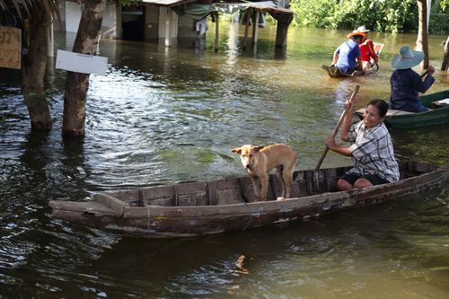 ภาพ No.3858:มูลนิธิธรรมกายช่วยภัยน้ำท่วม ปี พ.ศ.2554 ที่ ต.เกาะเรียน พระนครศรีอยุธยา