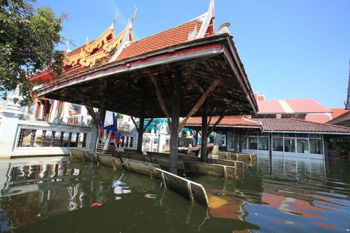 ภาพ No.4067:มูลนิธิธรรมกายช่วยภัยน้ำท่วม ปี พ.ศ.2554 ที่วัดเขียนเขต