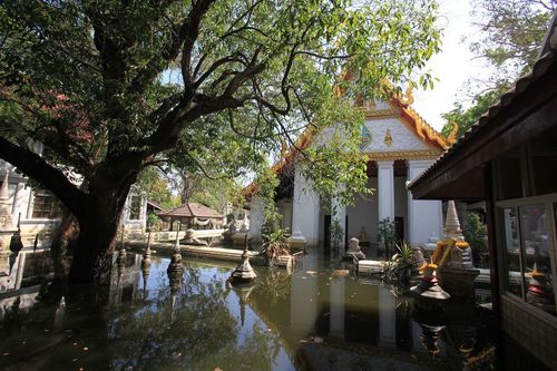 ภาพ No.4087:มูลนิธิธรรมกายช่วยภัยน้ำท่วม ปี พ.ศ.2554 ที่วัดเขียนเขต