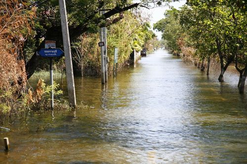 ภาพ No.4220:มูลนิธิธรรมกายช่วยภัยน้ำท่วม ปี พ.ศ.2554 ที่ศาลากลางจ.ปทุมธานีและอ.ลาดหลุมแก้ว จ.ปทุมธานี