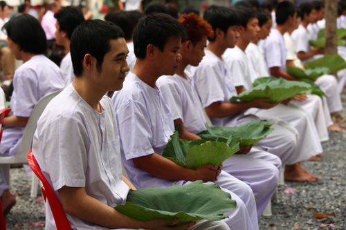 ภาพ No.2174:ตัดปอยผม