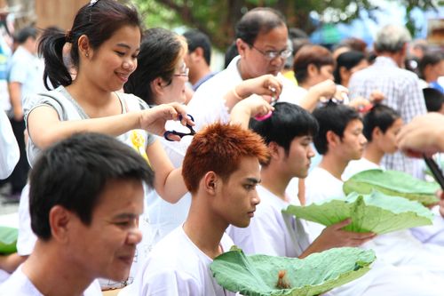 ภาพ No.2172:ตัดปอยผม