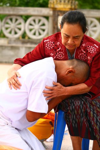 ภาพ No.2188:ขอขมา