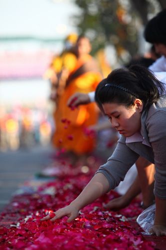 ภาพ No.5480:ประมวลภาพธุดงค์ธรรมชัย 2 มกราคม พ.ศ.2555