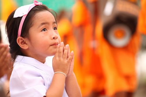 ภาพ No.5483:ประมวลภาพธุดงค์ธรรมชัย 3 มกราคม พ.ศ.2555