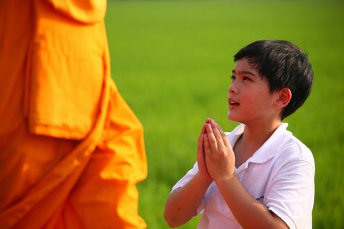 ภาพ No.5515:ประมวลภาพธุดงค์ธรรมชัย 4 มกราคม พ.ศ.2555