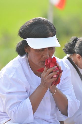 ภาพ No.5518:ประมวลภาพธุดงค์ธรรมชัย 4 มกราคม พ.ศ.2555