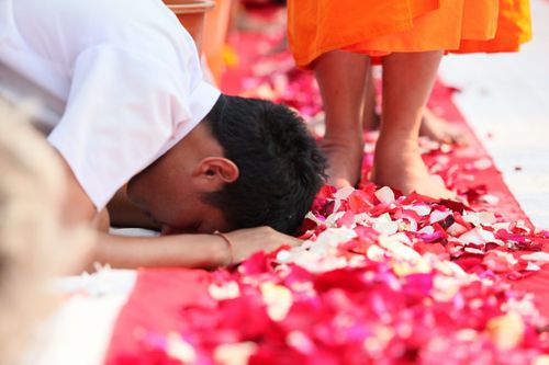 ภาพ No.5592:ประมวลภาพธุดงค์ธรรมชัย 5 มกราคม พ.ศ.2555