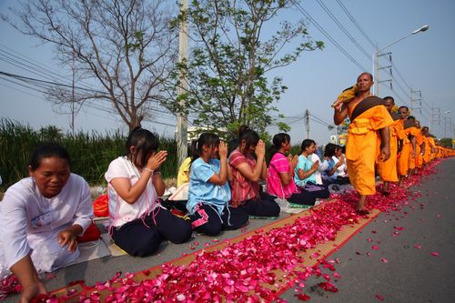 ภาพ No.5601:ประมวลภาพธุดงค์ธรรมชัย 5 มกราคม พ.ศ.2555