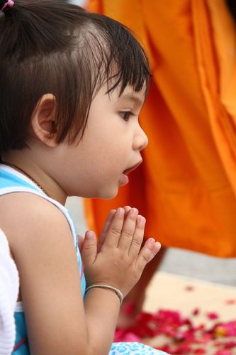 ภาพ No.5608:ประมวลภาพธุดงค์ธรรมชัย 5 มกราคม พ.ศ.2555