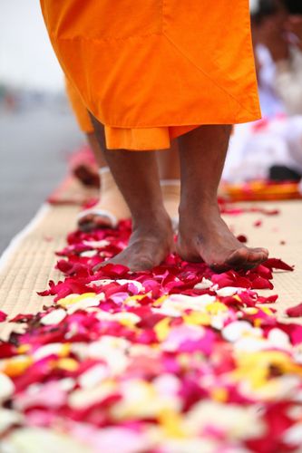 ภาพ No.5624:ประมวลภาพธุดงค์ธรรมชัย 5 มกราคม พ.ศ.2555