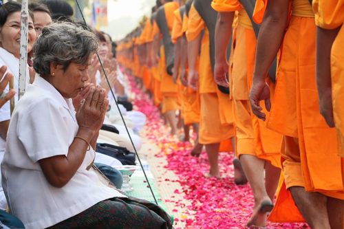 ภาพ No.5530:ประมวลภาพธุดงค์ธรรมชัย 6 มกราคม พ.ศ.2555