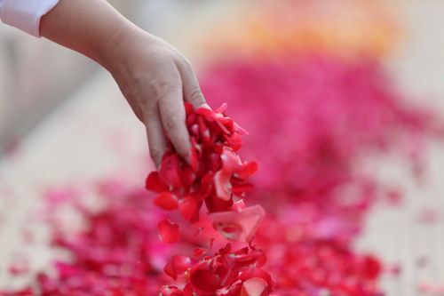 ภาพ No.5531:ประมวลภาพธุดงค์ธรรมชัย 6 มกราคม พ.ศ.2555